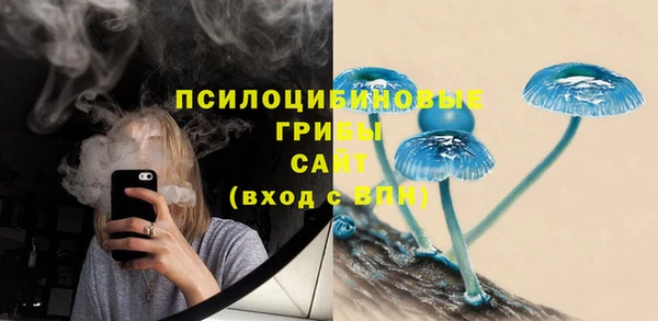 прущий лед Вязьма