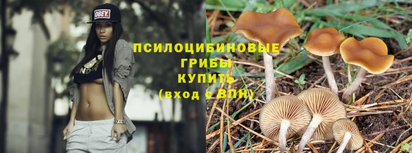 прущий лед Вязьма