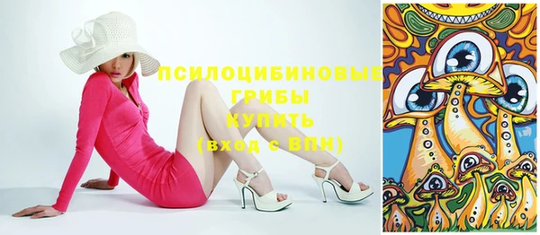 прущий лед Вязьма