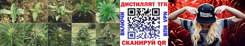 Купить  Луза  Дистиллят ТГК Wax 