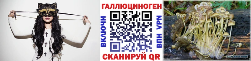 Купить Луза Галлюциногенные грибы GOLDEN TEACHER